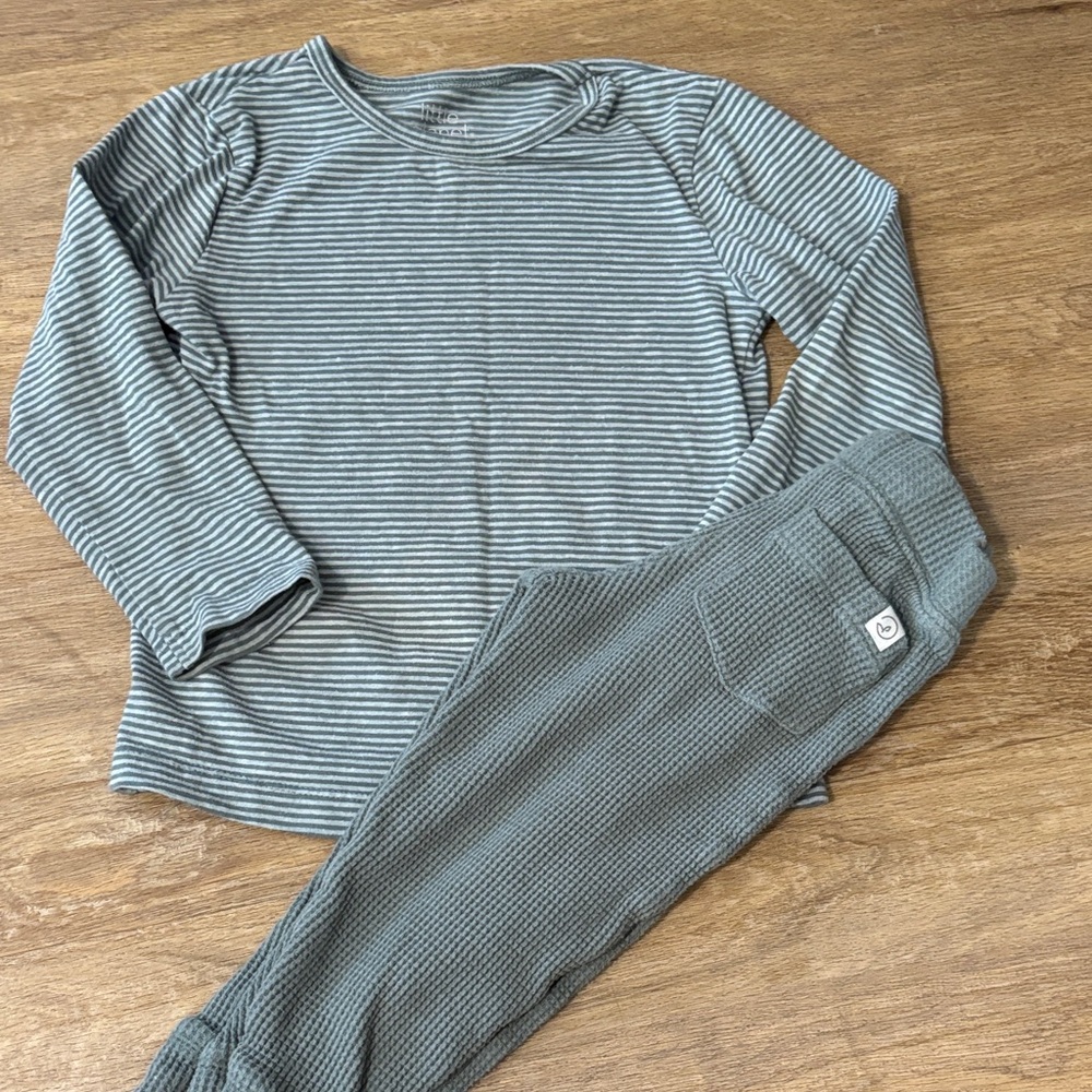 🟠Carter's Little Planet Organic Gray Striped Tee. Size 2t